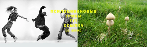 прущая мука Каменногорск