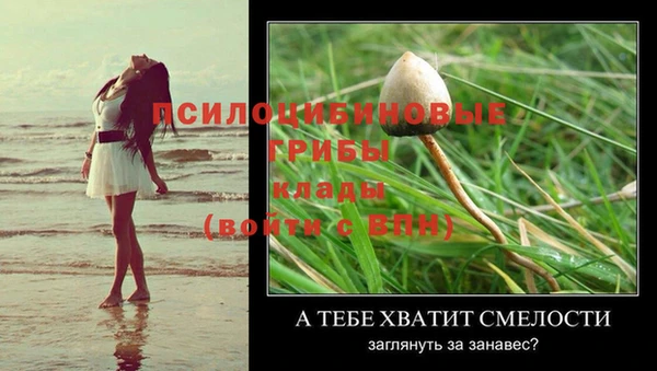 прущие крисы Киренск
