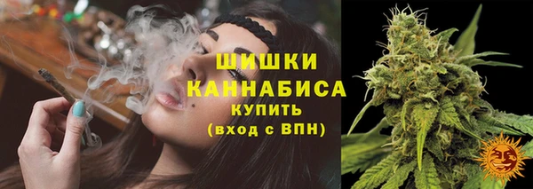 прущие крисы Киренск