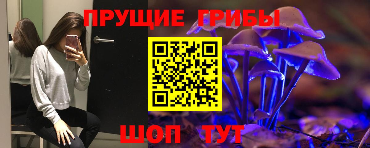 Великие Луки  Псилоцибиновые грибы ЛСД  Вход с VPN  Псилоцибиновые грибы ЛСД 