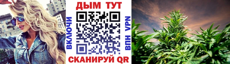 Канабис план  где можно купить   Великие Луки 